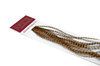 Whiting 100 Saddle Hackle Pack #16 - pióra siodłowe koguta