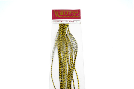 Whiting 100 Saddle Hackle Pack #14 - pióra siodłowe koguta