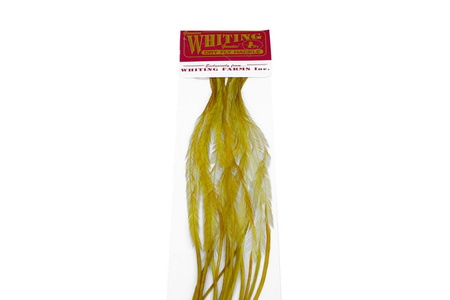 Whiting 100 Saddle Hackle Pack #14 
