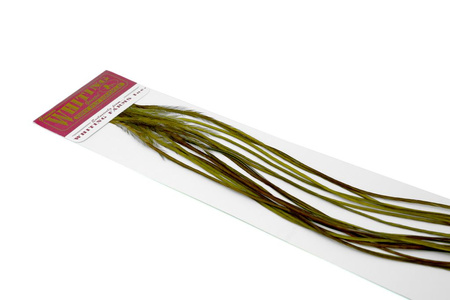 Whiting 100 Saddle Hackle Pack #14 
