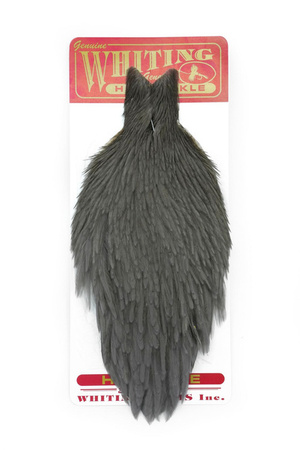 Whiting Hen Cape  - kapka kury 