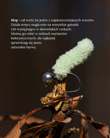 Zestaw much - Słowenia 