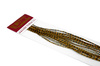 Whiting 100 Saddle Hackle Pack #16 - pióra siodłowe koguta