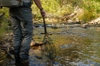 Fishpond Nomad Middle Fork Net - Brown Trout