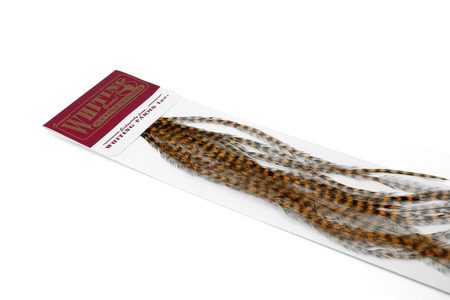 Whiting 100 Saddle Hackle Pack #14 - pióra siodłowe koguta