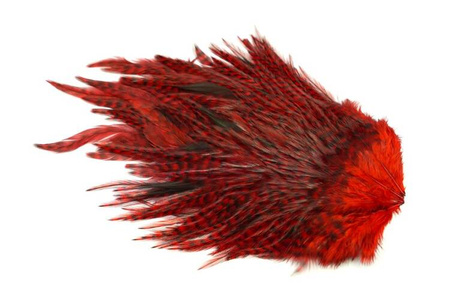 Whiting 4 B's Rooster Saddle