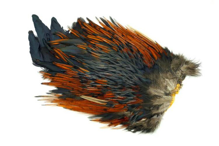 Whiting 4 B's Rooster Saddle