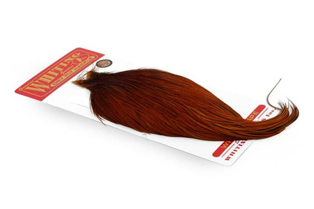 Whiting Bronze Cape - kapka koguta