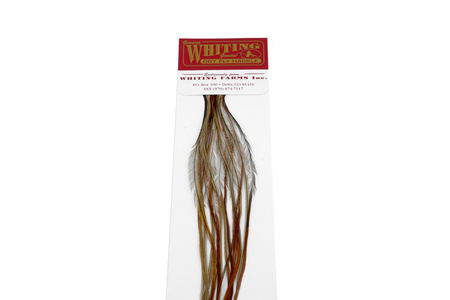 Whiting 100 Saddle Hackle Pack #14 - pióra siodłowe koguta