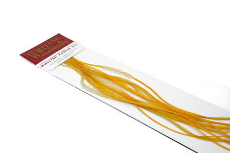 Whiting 100 Saddle Hackle Pack #14 