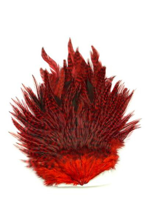 Whiting 4 B's Rooster Saddle