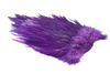 Whiting 4 B's Rooster Saddle