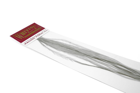 Whiting 100 Saddle Hackle Pack #14 - pióra siodłowe koguta