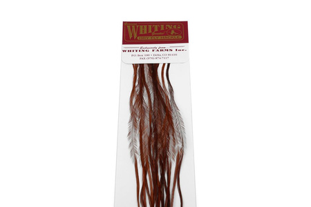 Whiting 100 Saddle Hackle Pack #14 