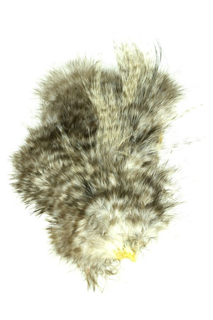Whiting Bird Fur  - ptasia sierść