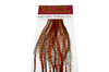 Grizzly dyed Burnt Orange \ #14