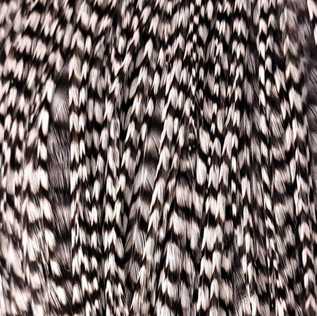 Whiting Bronze 1/2 Cape - Grizzly