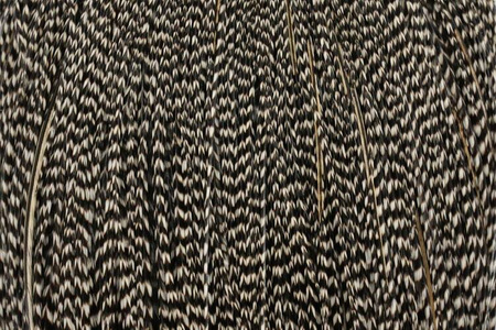 Whiting Bronze Cape - Rooster Cape