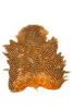 Grizzly dyed Shrimp Orange
