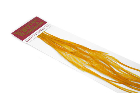 Whiting 100 Saddle Hackle Pack #14 - pióra siodłowe koguta
