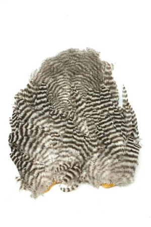 Whiting  Soft Hackle with Chickabou 