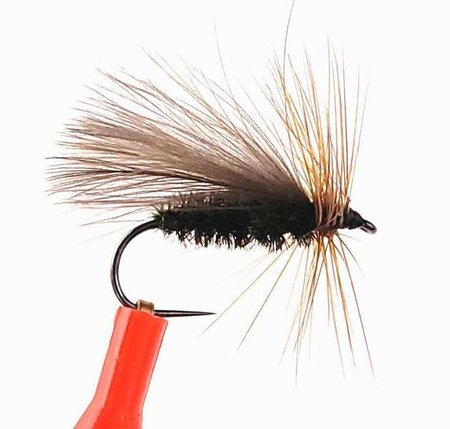CDC Caddis 02