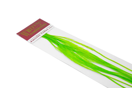 Whiting 100 Saddle Hackle Pack #14 