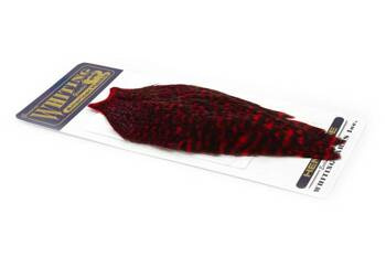 Whiting American Hen Cape - Grizzly dyed Red