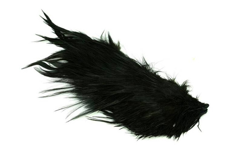 Whiting Bird Fur