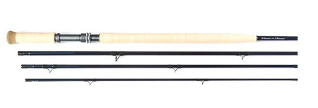 Fly rod Thomas & Thomas DNA Spey 
