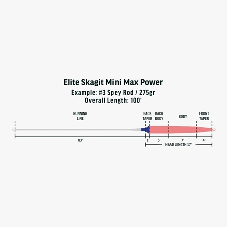 RIO Integrated Skagit Mini Max Power 