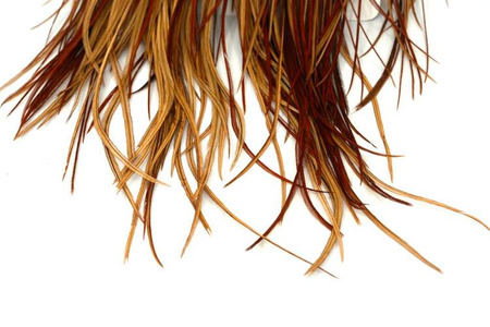 Whiting Gold Saddle Brown - rooster saddle