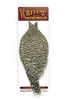 Whiting Coq de Leon Rooster Cape - kapka koguta Coq de Leon