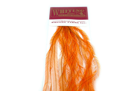 Whiting 100 Saddle Hackle Pack #14 - pióra siodłowe koguta