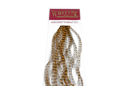 Whiting 100 Saddle Hackle Pack #14 