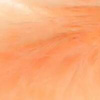 Salmon Pink (Peach)