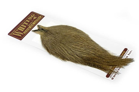 Whiting Coq de Leon Rooster Cape - kapka koguta Coq de Leon