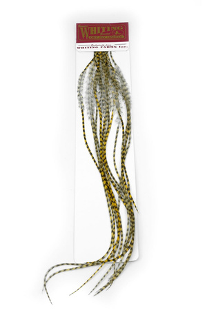 Whiting 100 Saddle Hackle Pack #14 