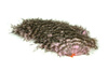 Whiting Mini Bird Fur - mini ptasia sierść