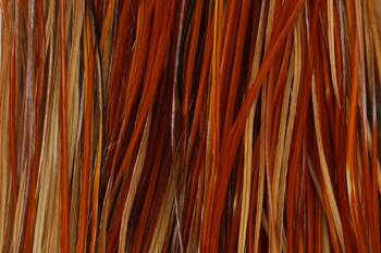 Whiting Gold Saddle Brown - rooster saddle