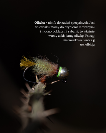 Zestaw much - Słowenia 