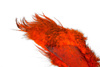 Whiting Bird Fur  - ptasia sierść