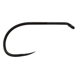 Wizard D2 649 BL Strong