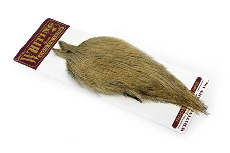 Whiting Coq de Leon Rooster Cape - kapka koguta Coq de Leon