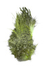 Whiting Bird Fur  - ptasia sierść  