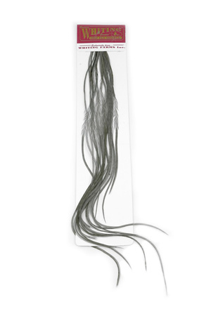Whiting 100 Saddle Hackle Pack #14 - pióra siodłowe koguta