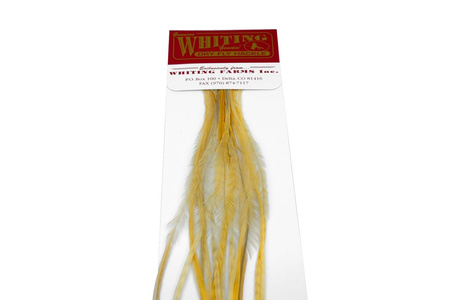 Whiting 100 Saddle Hackle Pack #14 