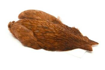 Whiting 4B Rooster Cape - White dyed Brown