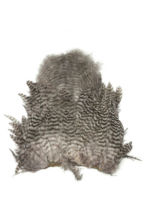 Whiting Soft Hackle with Chickabou 