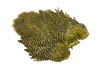 Whiting Soft Hackle with Chickabou 